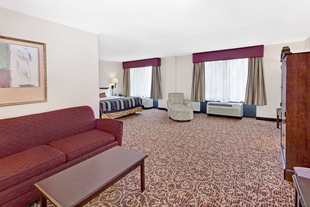 Wingate By Wyndham Atlanta Galleria/ Ballpark 2*