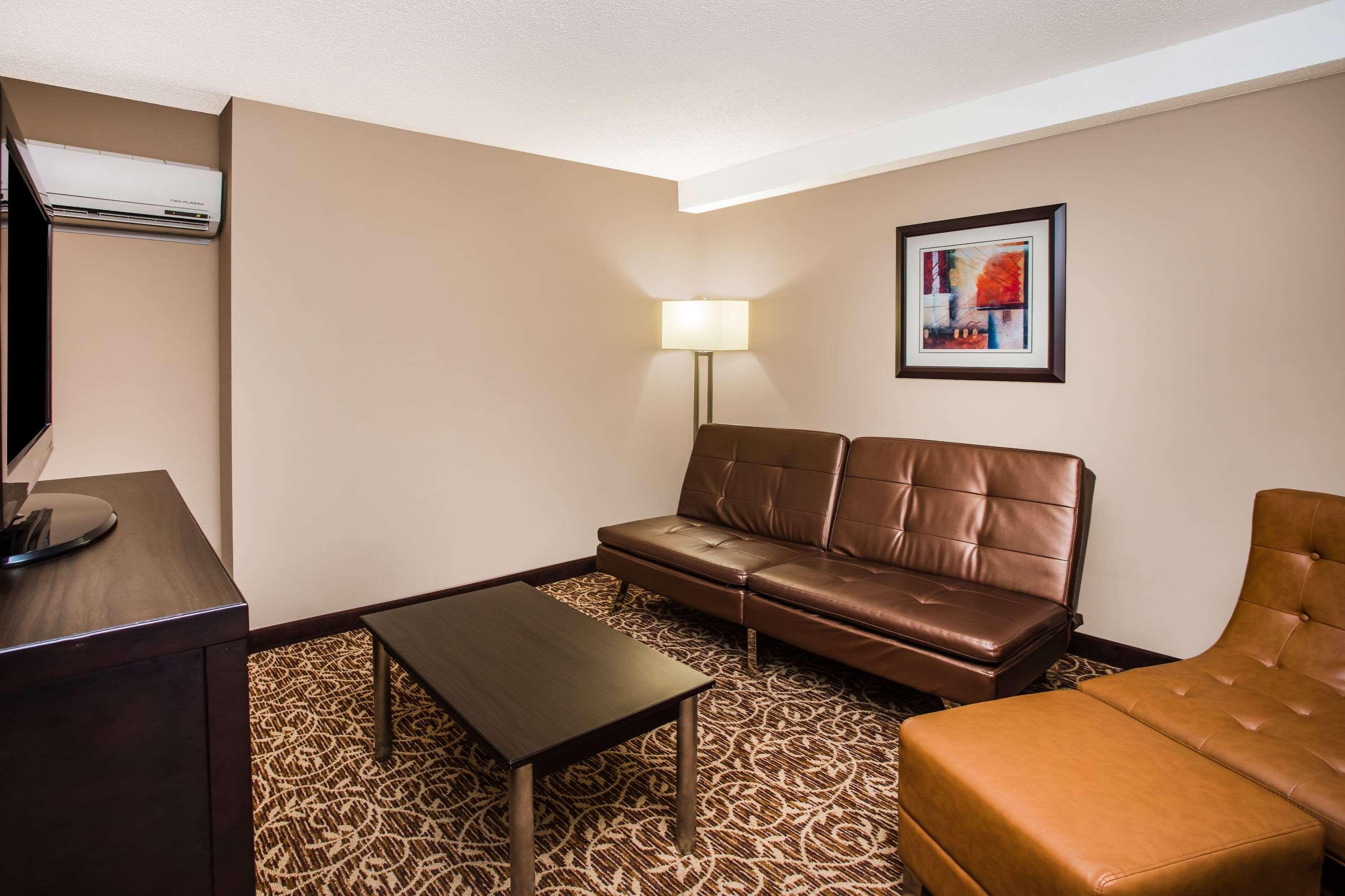Hotel Wingate By Wyndham Atlanta Galleria/ Ballpark Smyrna